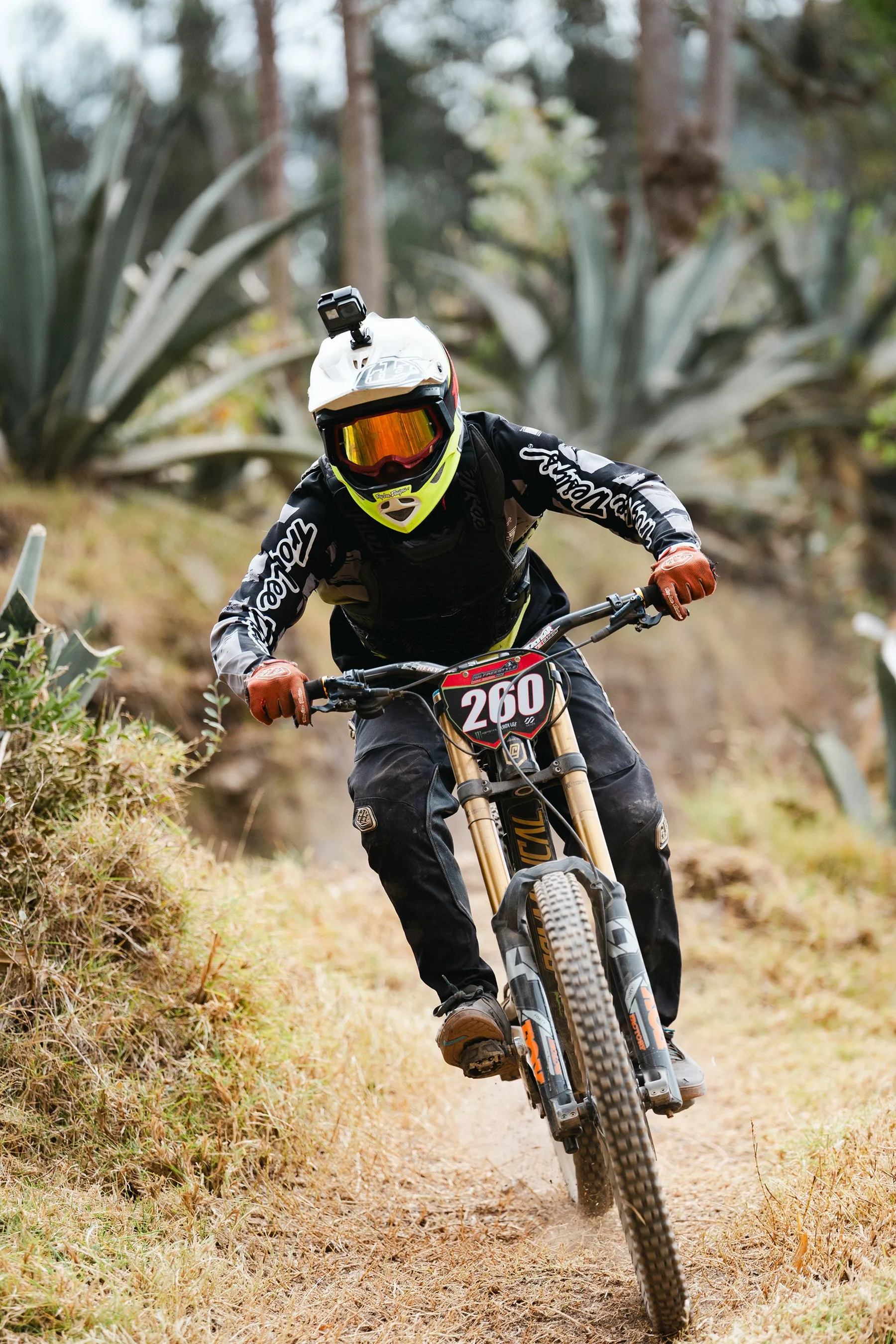 Sports — fotografía 12