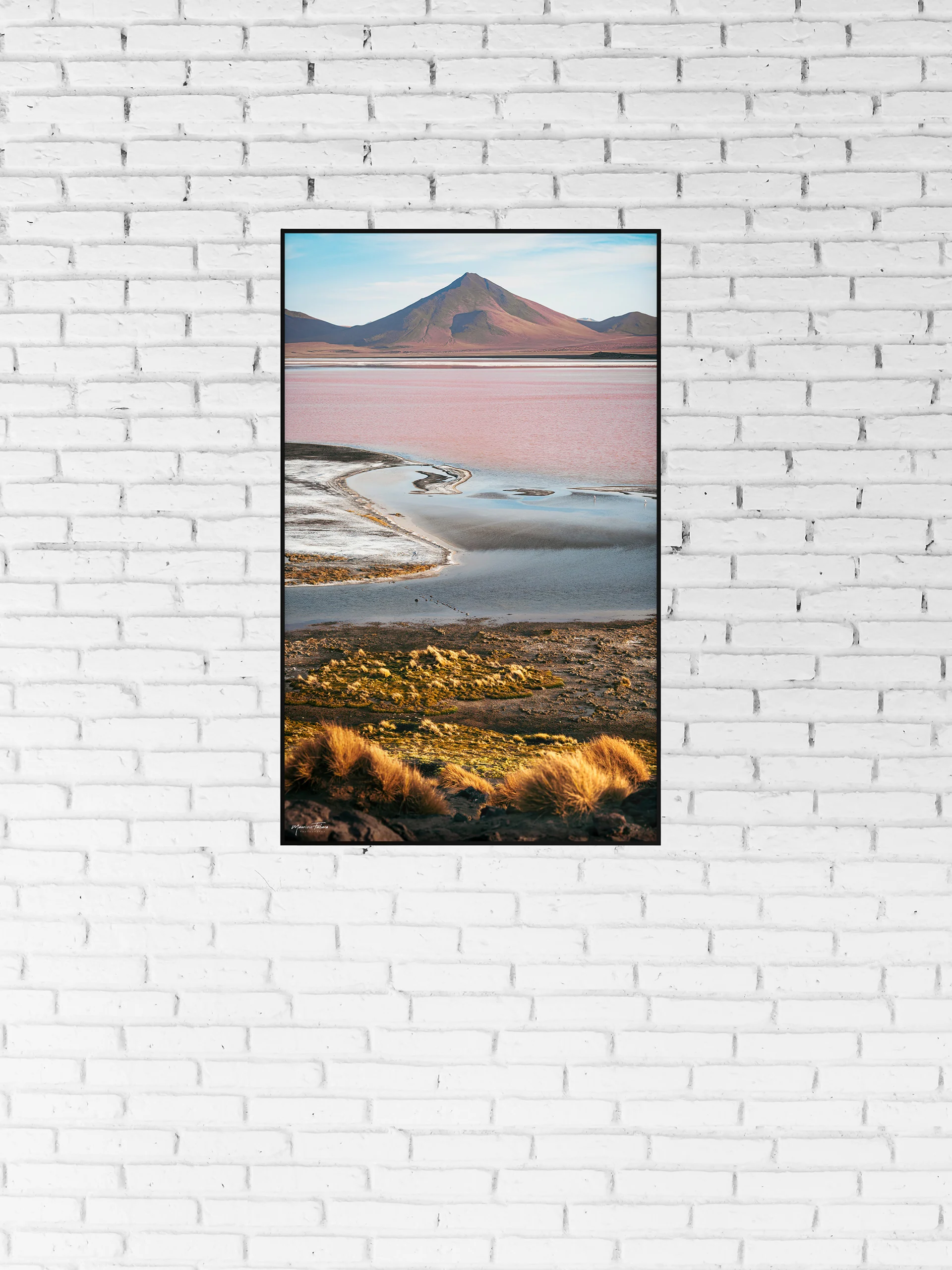 Laguna Colorada — Bolivia
